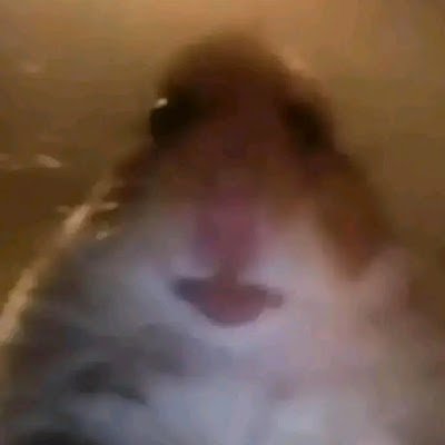 kidfun19's profile picture. 