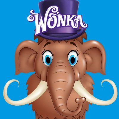 Woolly_wonka's profile picture. NOBODY LOOK!