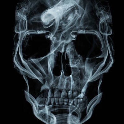 One_Tenths's profile picture. you should know who i am right about now MINORS DNI