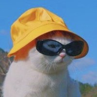 Jolly (@jollymancan) 's Twitter Profile