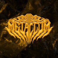 Semper Metallum (@semper_metallum) 's Twitter Profile