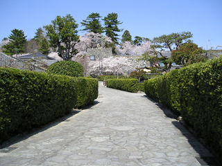 hiroki_law's profile picture. さまざまな事について考え、つぶやきます。