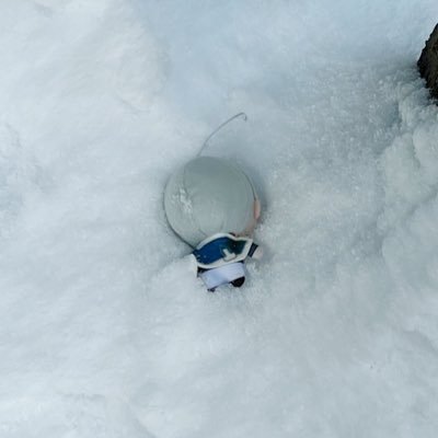 _amakasa_'s profile picture. 🍞🌱20↑冬はもうアクセルをグッと踏み込んでる