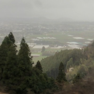 kaito14789632's profile picture. カーパの戯言