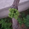 GlMEK57509878's profile picture. Nature's Food  & Doğal ürünler

https://t.co/7IGo6ViTNp
#tavsiyedir #reklamdeğildir