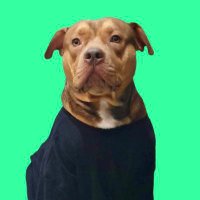 ᴛɪɴ (@tingsstt01) 's Twitter Profile