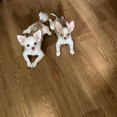 EmooSupiwat's profile picture. 