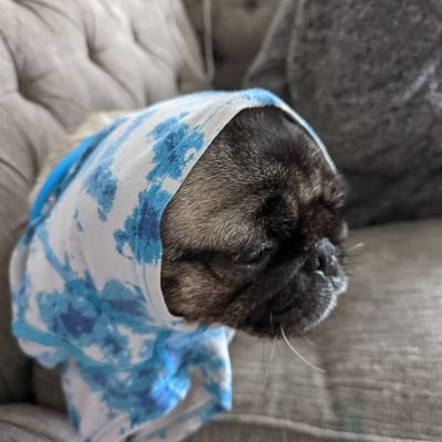 SeanCol47344263's profile picture. 