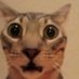 ... (@hshshstangina) Twitter profile photo ... (@hshshstangina) Twitter profile photo