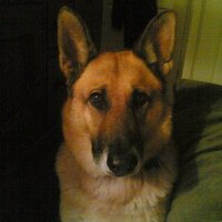 CH (@chrisridgehart) 's Twitter Profile