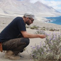 Tim Böhnert (@timboeh) 's Twitter Profile