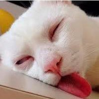 yamayungkubkuja's profile picture. mental break dance everyday yeh