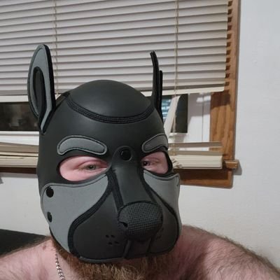 (voice actor)
(taken by 2 puppies)
(daddy)@deltawolfpup (pup) @pupnite
(level 28)
anime nerd
artist:my commissions are open
cash app:@puplair