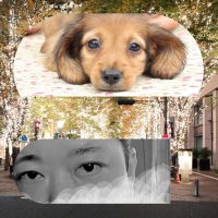 jun (@jun00jun11) 's Twitter Profile