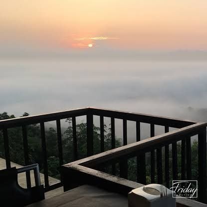 pmodzuza's profile picture. 