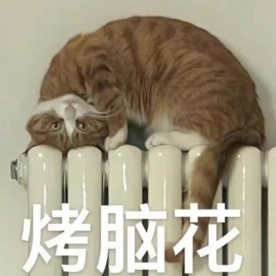 joannast14's profile picture. 喜欢帅哥和大胸美女/坏情绪发泄处/会在这里骂傻逼男人