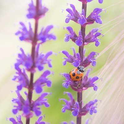 もっと楽しく、もっと自由に。がんばるのもめんどくさがるのも得意。写真のお仕事。鳥が好き。ストックフォトしてます。