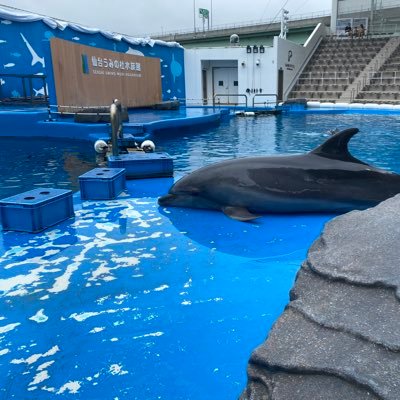 numaebi1612love's profile picture. 