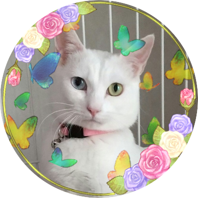 yunatsu_46neko's profile picture. 成人済/ついった🔰/TGCF原作履修中/刀ミュ/保護猫ブランちゃん♀と暮らしてます🐾