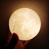 のじまんぼうや (@nojimang) 's Twitter Profile