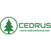 Cedrus Silicone (@cedrussilicone) Twitter profile photo Cedrus Silicone (@cedrussilicone) Twitter profile photo