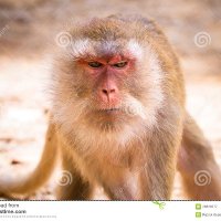 Daniel Jozsa ❤️ Memecoin (@jozsajozsa1) 's Twitter Profile