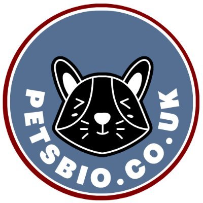 pets_bio's profile picture. 