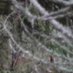 Gegen Geister 🏴 (@unemplyablstrnr) Twitter profile photo Gegen Geister 🏴 (@unemplyablstrnr) Twitter profile photo