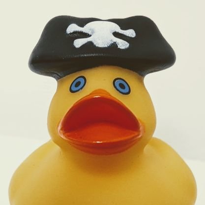 duck_debugging's profile picture. Title: Quacktain
Name: R. Duck
Job: Debugging
Favourite Food: Sweetcorn