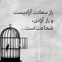 🌴Sayed Azim Sadat🌲 (@sayedazimsadat7) 's Twitter Profile