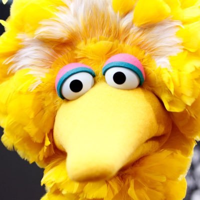 she/her | 🇩🇪 | 19 | megamind enthusiast and big bird connoisseur | I-No main