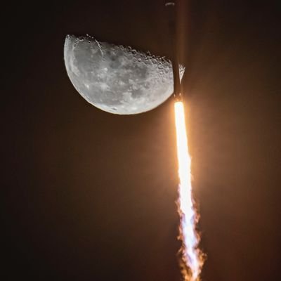 chekresh_k's profile picture. Future Doctor 👨‍⚕