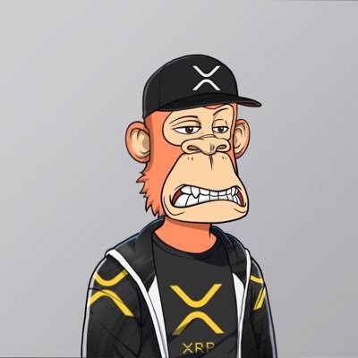 BlindmanXRP Profile Picture