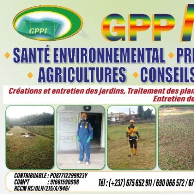 GPP International est entreprises qui fait dans 
Santé environnementale, Prestations de services, Commerce général, Agriculteurs.