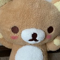 リラックマの夫🐻 (@wu9bf23b1dvzbir) 's Twitter Profile Photo