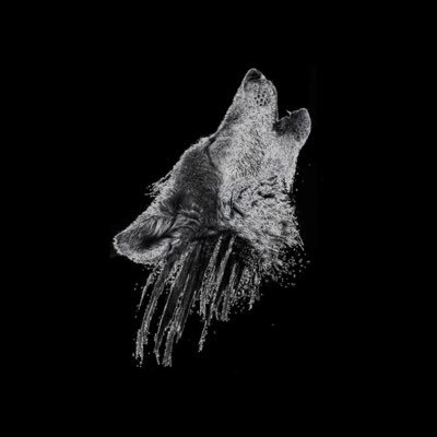 Turkewolf's profile picture. Türk Milliyetçisi