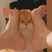 NCC314317 (@ncc314317) Twitter profile photo NCC314317 (@ncc314317) Twitter profile photo