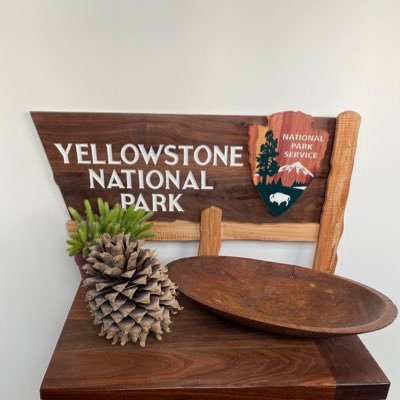 At TinyWoodenSigns I make the highest quality replica National Park signs you can find anywhere in the world. Visit my Etsy page in my bio to order.