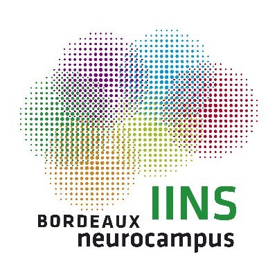#IINS is a research center in #neuroscience, focussing on understanding the basic mechanisms of #brain function 🧠 @CNRS / @univbordeaux / @neuro_bordeaux