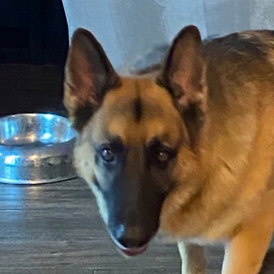 cryptomarc6's profile picture. Crypto investor