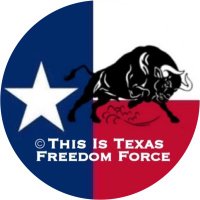 This Is Texas Freedom Force(@ThisIsTexasFF) 's Twitter Profile Photo