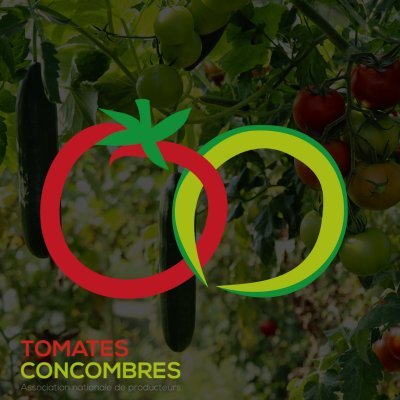 🍅 🥒 🫑 🍆 Plus de naturel dans les cultures, pour plus de naturel dans vos assiettes ! Les producteurs de tomates concombres poivrons et aubergines de France.