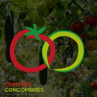 Producteurs de tomates et de concombres de France (@tomccb) 's Twitter Profile Photo Producteurs de tomates et de concombres de France (@tomccb) 's Twitter Profile Photo