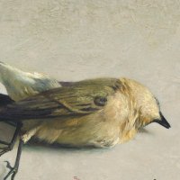 Jason Arthur (@jasonarthur01) 's Twitter Profile