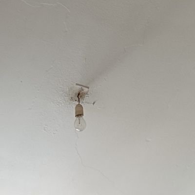 Gonzalo58477915's profile picture. 