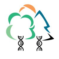 OptFORESTS (@optforests) 's Twitter Profile