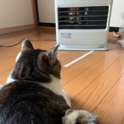 ダーツ(JAPAN所属)/(Rt.フェニ 17ライブ14) ダーツ以外のツイート多め ダーツ関係の無言フォロー失礼します。 山形県