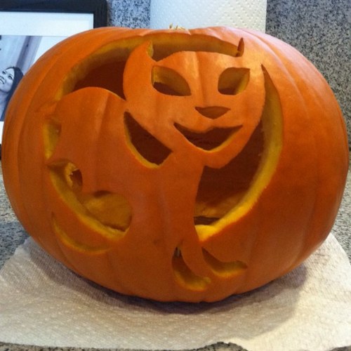 paulho01's profile picture. 