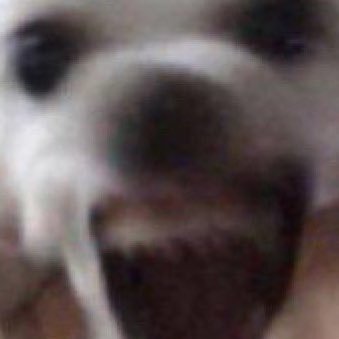 io49c's profile picture. 