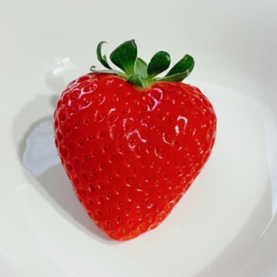 lill_liil_li's profile picture. 好きなことの本を作る会です。